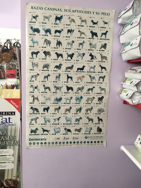 Imagen de Centro Veterinario Veravet (5 de 9)
