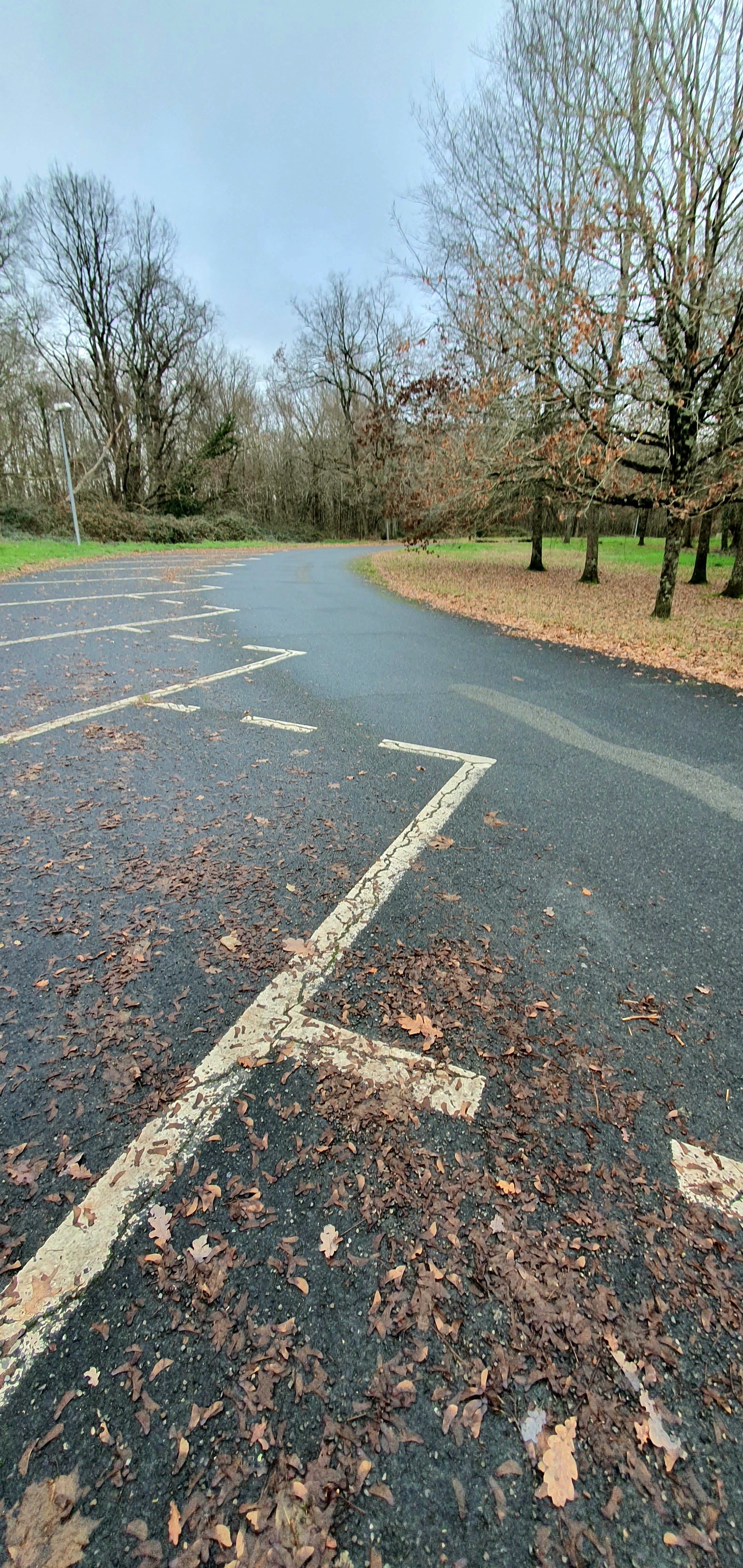 Photo n° 8 de l'avis de KASPAR. fait le 24/12/2023 à 17:00
