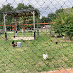 Photo n° 6 de l'avis de audrey.h fait le 31/07/2023 à 09:56 pour Ferme Pédagogique de Méry sur Seine à Méry-sur-Seine