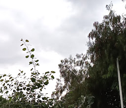 Parque Escuela Urbano Ecológico Iztacalco photo