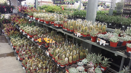 Home Improvement Store «The Home Depot», reviews and photos, 3355 Cobb Pkwy N, Acworth, GA 30101, USA