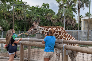 Naples Zoo at Caribbean Gardens