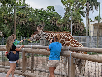 Naples Zoo at Caribbean Gardens