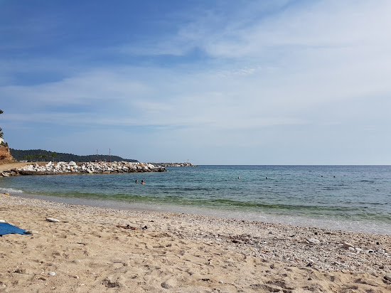 Nautilus beach