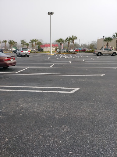 Grocery Store «Winn-Dixie», reviews and photos, 1838 S Ridgewood Ave, Edgewater, FL 32141, USA