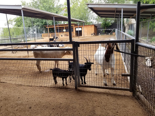 Zoo «Animal World & Snake Farm Zoo», reviews and photos, 5640 Interstate 35 Frontage Rd, New Braunfels, TX 78132, USA