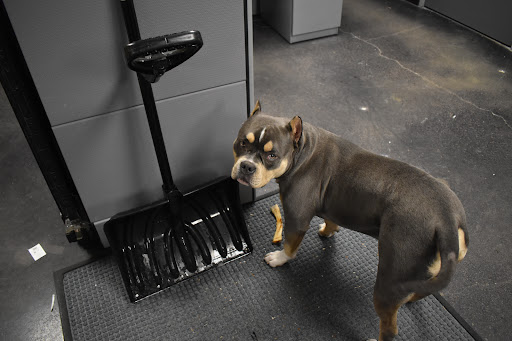 Employment Agency «Elite Staffing Solutions», reviews and photos, 2601 E Central Ave #3, Wichita, KS 67214, USA