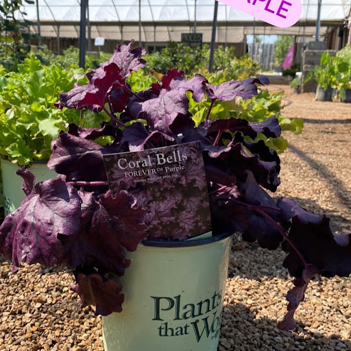 Landscaping Supply Store «Kirkwood Gardens», reviews and photos, 2701 Barrett Station Rd, Ballwin, MO 63021, USA