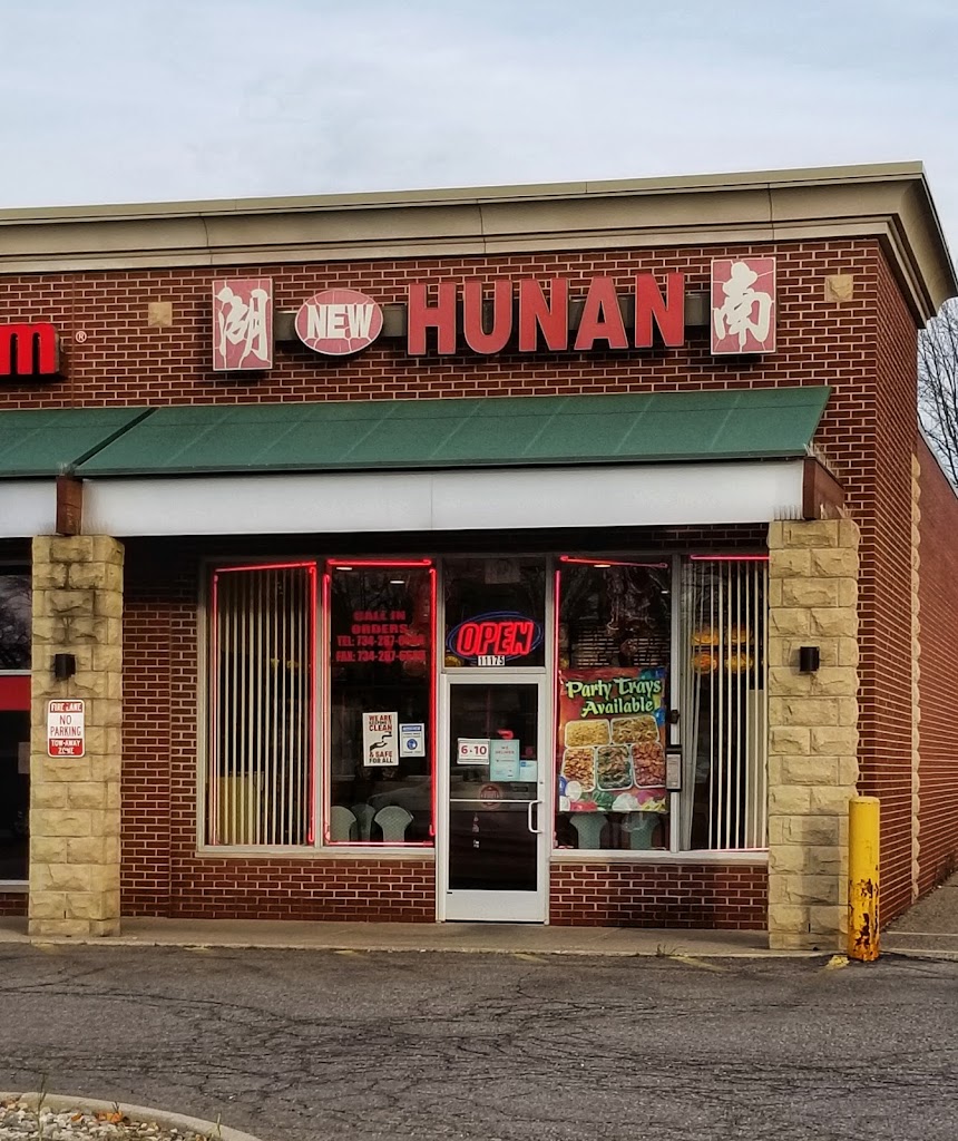 New Hunan 48195