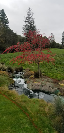 Country Club «Los Altos Golf & Country Club», reviews and photos, 1560 Country Club Dr, Los Altos, CA 94024, USA