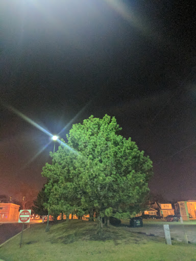 Tourist Attraction «Leaning Tower of Niles», reviews and photos, 6300 Touhy Ave, Niles, IL 60714, USA