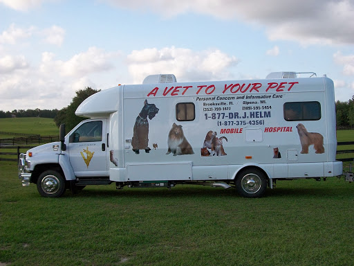 A Vet to Your Pet image