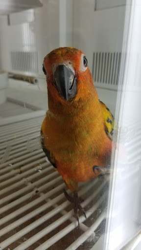 Pet Supply Store «Petco Animal Supplies», reviews and photos, 5717 Plank Rd, Fredericksburg, VA 22407, USA