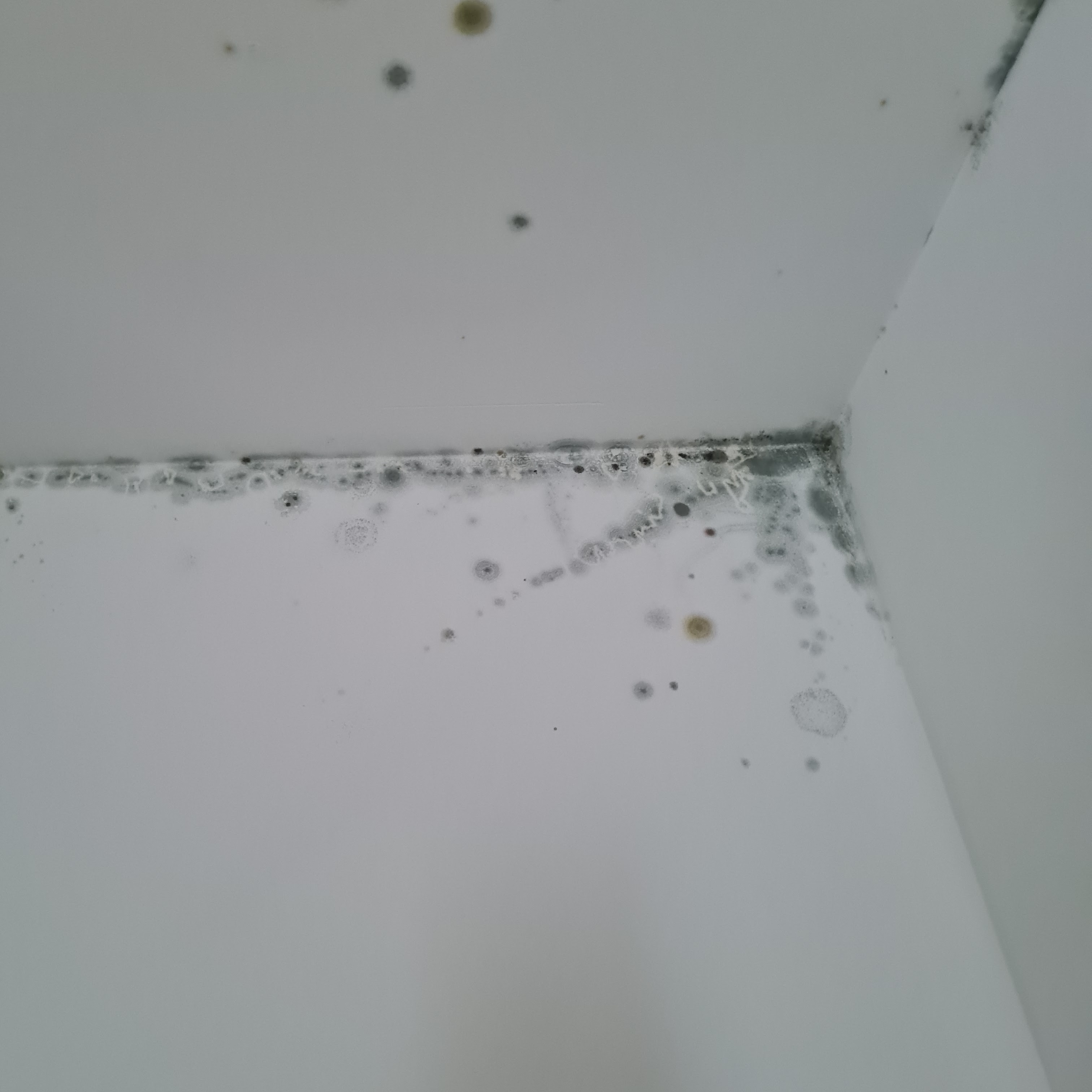 Photo n° 3 de l'avis de Tigran.o fait le 16/12/2023 à 16:43