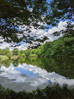 Willow tree park - photo 89