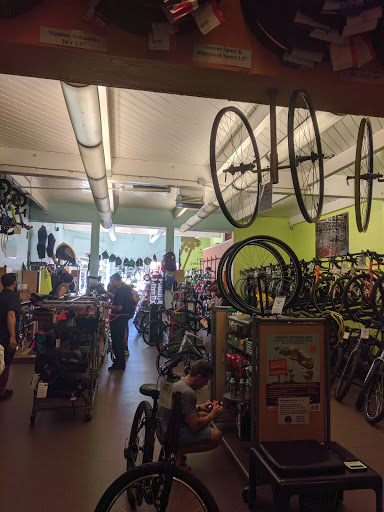 Bicycle wholesaler Concord