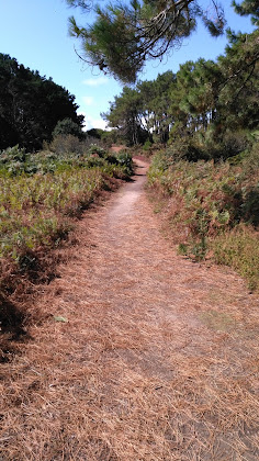 Extérieur Hébergement Location Ile aux Moines 56780 Île-aux-Moines