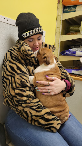 Pet Store «Yuppy Puppy Pet Shop», reviews and photos, 292 Frantz Rd, Stroudsburg, PA 18360, USA