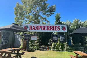 Westerway Raspberry Farm image
