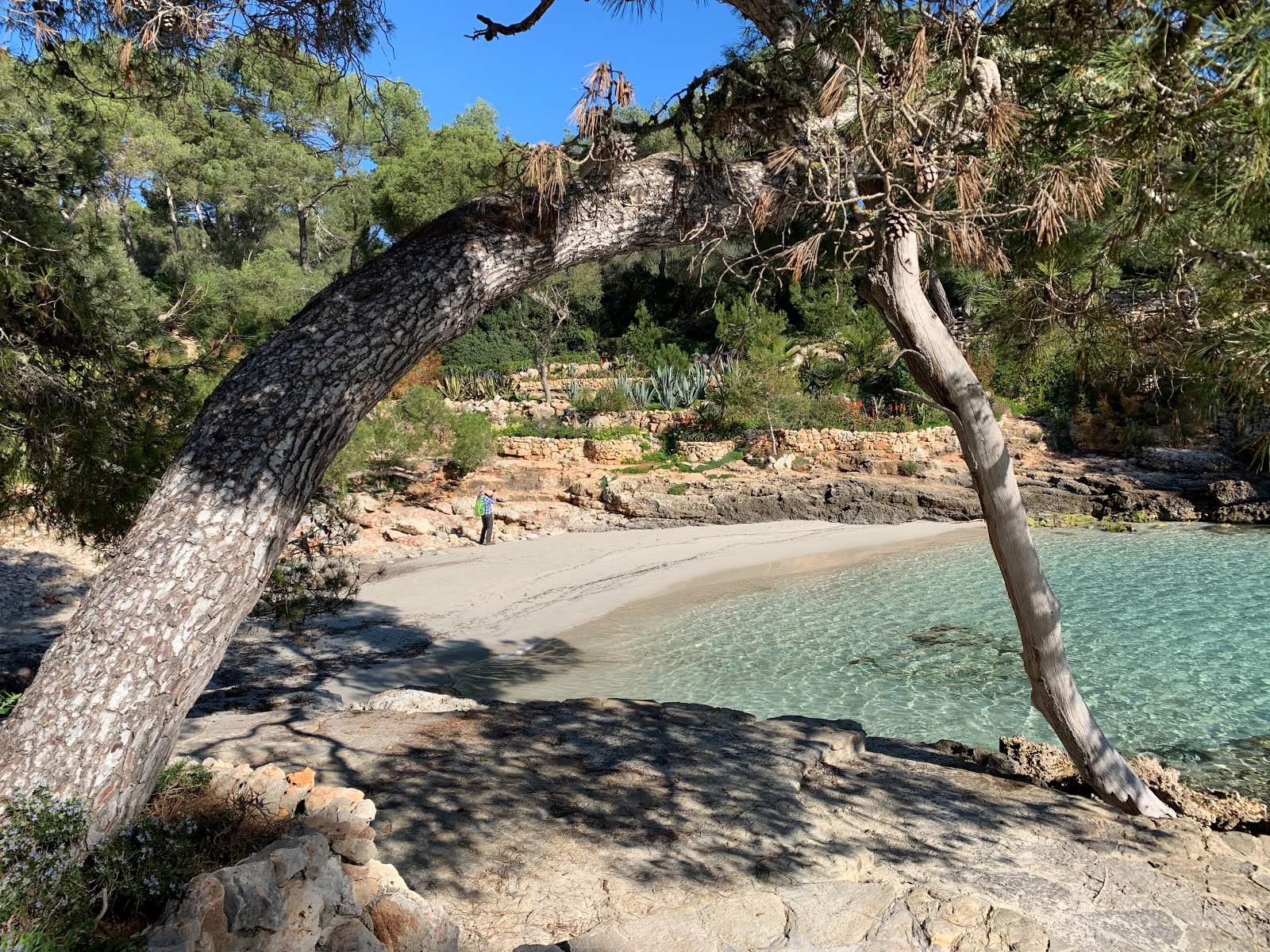 Foto di Cala Mitjana con una superficie del acqua cristallina