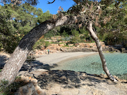 Photo de Cala Mitjana avec petite baie