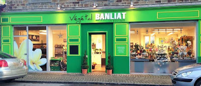 Végétal Banliat à Plerguer