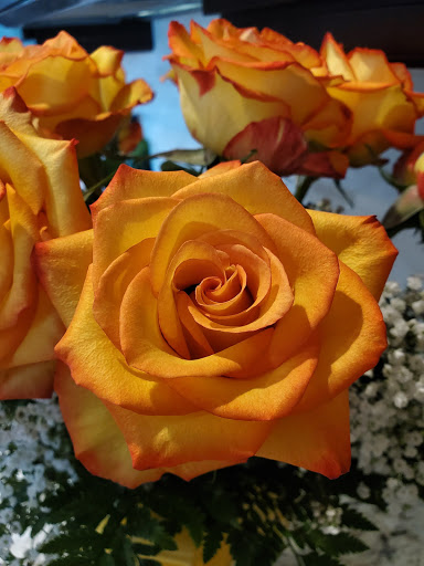 Florist «Always In Bloom Florist», reviews and photos, 872 17th St, Vero Beach, FL 32960, USA