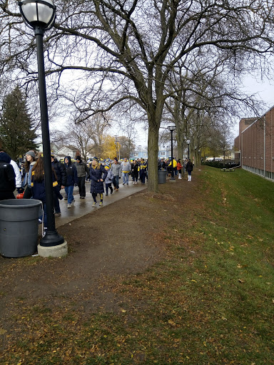 Stadium «Michigan Stadium», reviews and photos, 1201 S Main St, Ann Arbor, MI 48104, USA