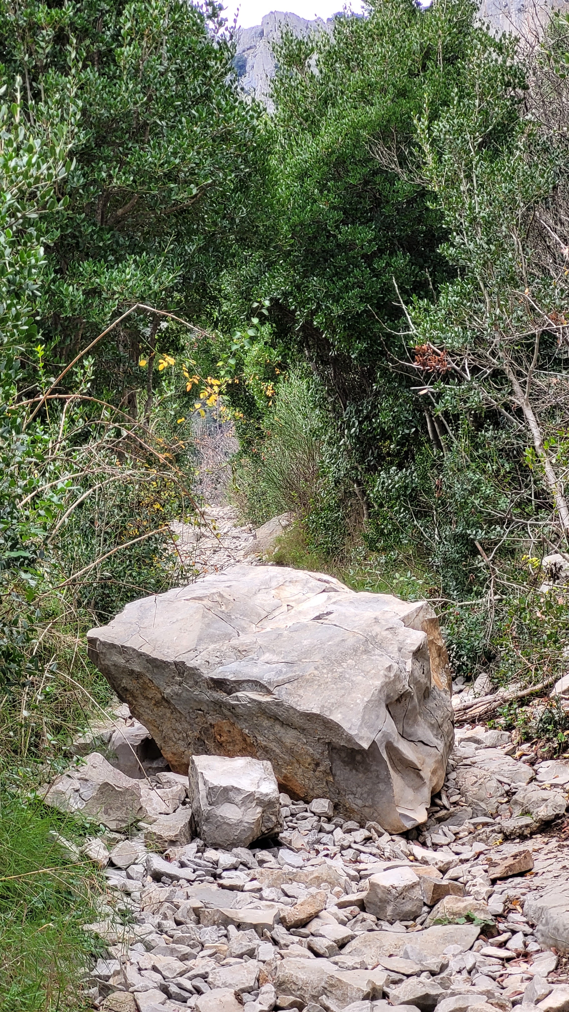 Photo n° 27 de l'avis de Salopette.o fait le 28/12/2022 à 18:35