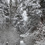 Photo n°3 de l'avis de Yves.e fait le 13/12/2021 à 17:58 sur le  Hotel Thomahof à Hinterzarten