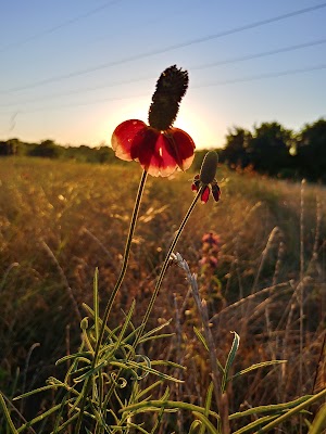 Rabbit Hill Park - photo 5