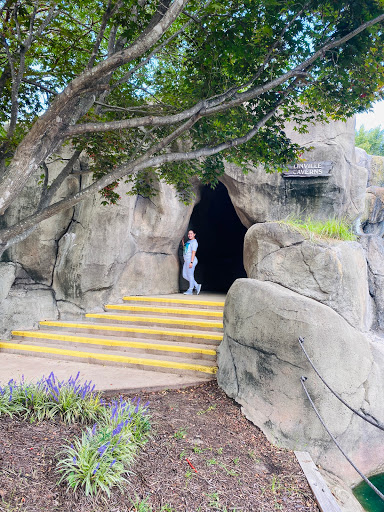 Amusement Park «Adventure Landing Raleigh», reviews and photos, 3311 Capital Blvd, Raleigh, NC 27604, USA