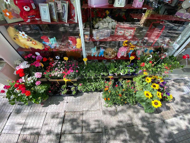 Коментари и отзиви за Магазин за цветя и сувенири Редута