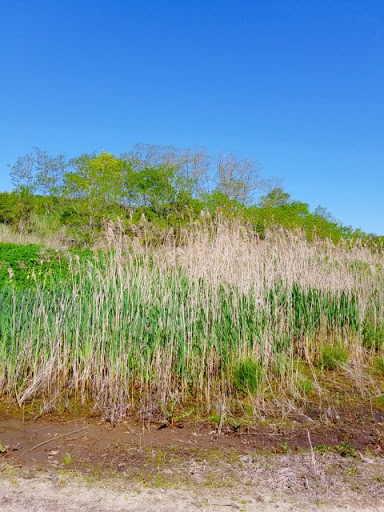 Wildlife Park «Wildlife & Ecology Center», reviews and photos, 249 Buckley Rd, Holtsville, NY 11742, USA
