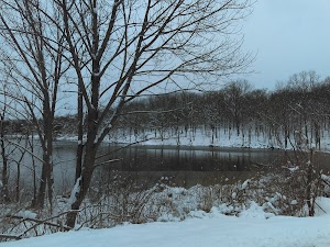 Huckleberry Ridge State Forest - photo 13