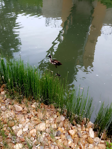 Art Museum «San Antonio Museum of Art», reviews and photos, 200 W Jones Ave, San Antonio, TX 78215, USA