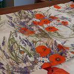 Photo n°1 de l'avis de Silvia.a fait le 14/09/2021 à 17:40 sur le  Le Naiadi Ristocafé à Scheggino