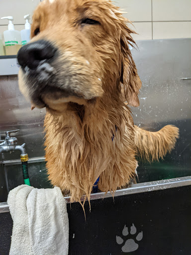 Pet Supply Store «Pet Supplies Plus», reviews and photos, 1676 E Summit St, Crown Point, IN 46307, USA