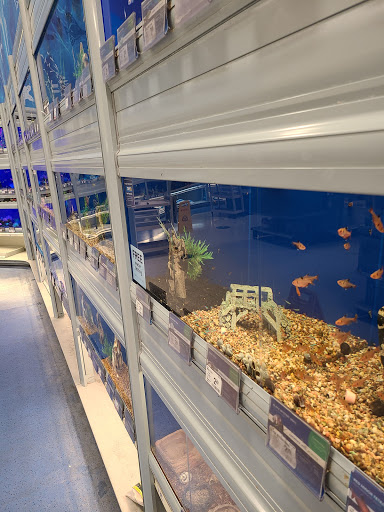 Pet Supply Store «PetSmart», reviews and photos, 5013 S Cleveland Ave, Fort Myers, FL 33907, USA