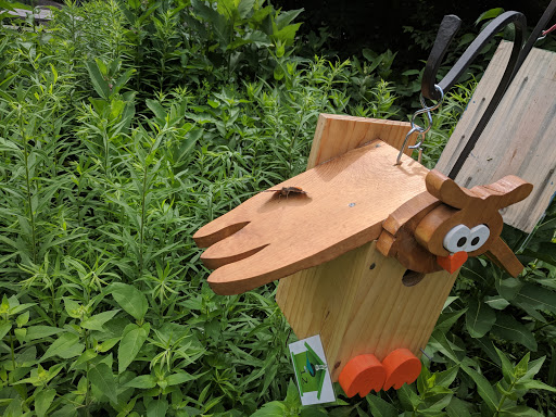 Learning Center «Trailside Museum of Natural History», reviews and photos, 738 Thatcher Ave, River Forest, IL 60305, USA