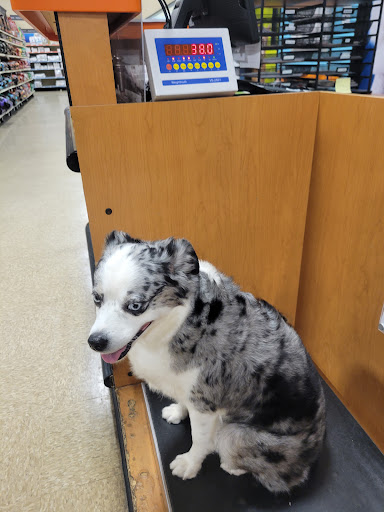 Pet Supply Store «PetSmart», reviews and photos, 4151 Turtle Creek Dr, Coral Springs, FL 33067, USA