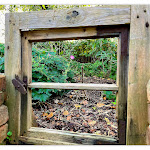 Photo n°2 de l'avis de Margot.p fait le 01/10/2023 à 13:27 sur le  Hotel Altes Dichterhaus à Großefehn