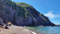 Porto Banda Beach'in fotoğrafı vahşi alan