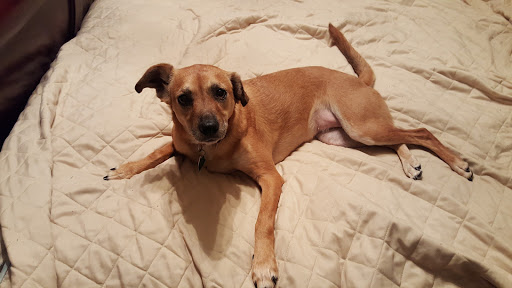 2635 Old Winder Hwy, Braselton, GA 30517, USA