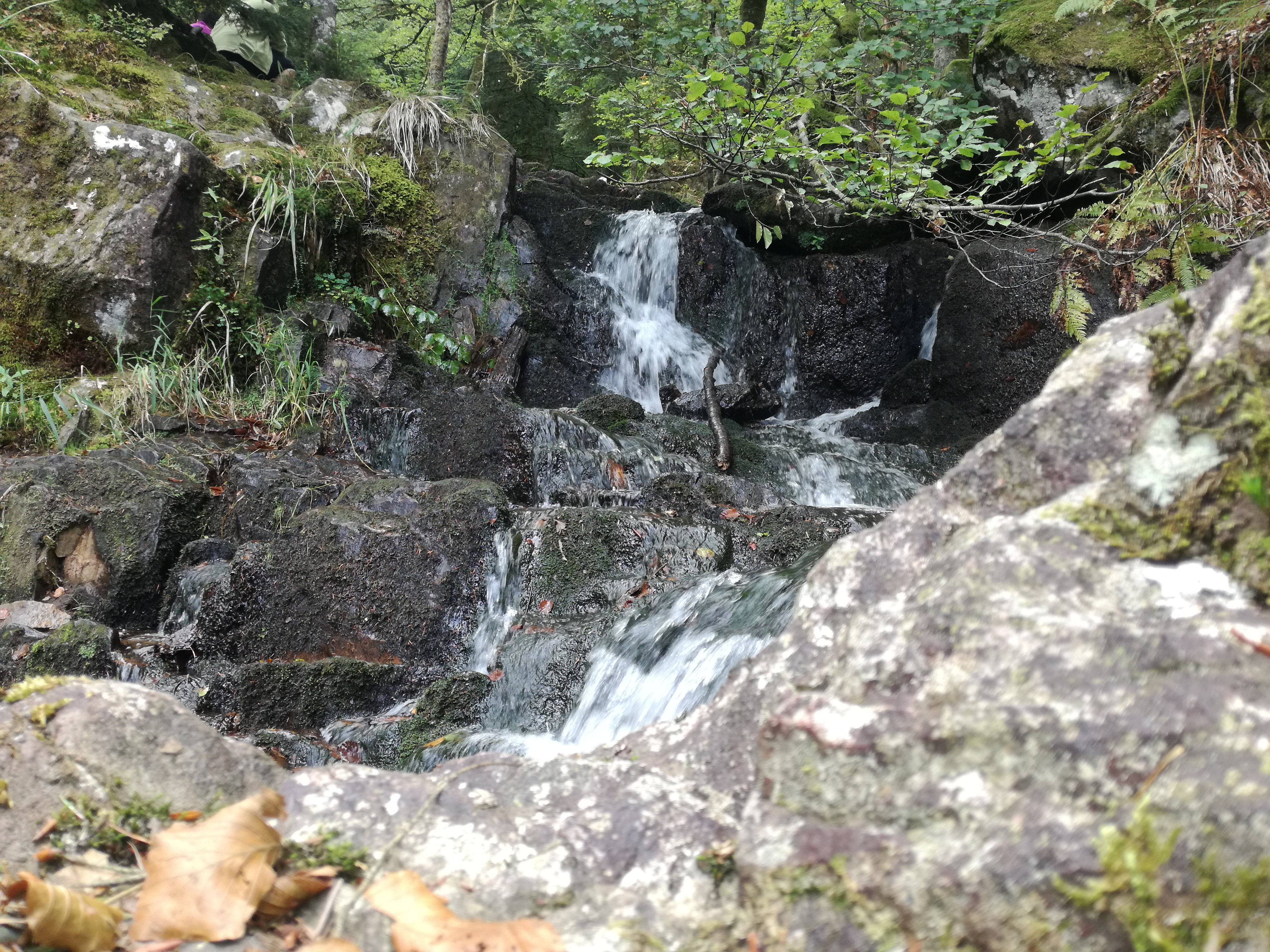 Photo n° 1 de l'avis de Fabrice.e fait le 02/09/2018 à 12:55