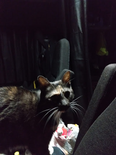 Inyo County Animal Shelter