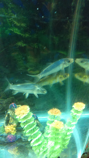 Pet Supply Store «Petco Animal Supplies», reviews and photos, 4950 S 76th St, Greenfield, WI 53220, USA