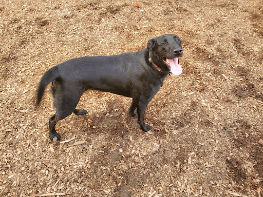 Park «Meridian Habitat Park & Community Center», reviews and photos, 14422 Meridian E, Puyallup, WA 98375, USA