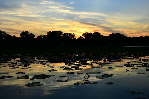 Grocery Store «Jewel-Osco», reviews and photos, 885 E Belvidere Rd, Grayslake, IL 60030, USA