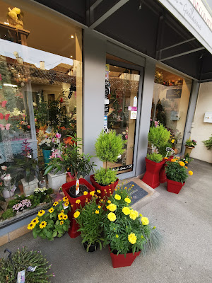 Amsterdam Fleurs à Tournus